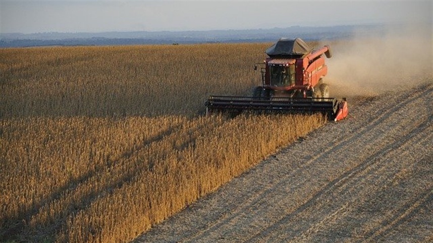 USDA atualiza previsão da safra agrícola nos Estados Unidos