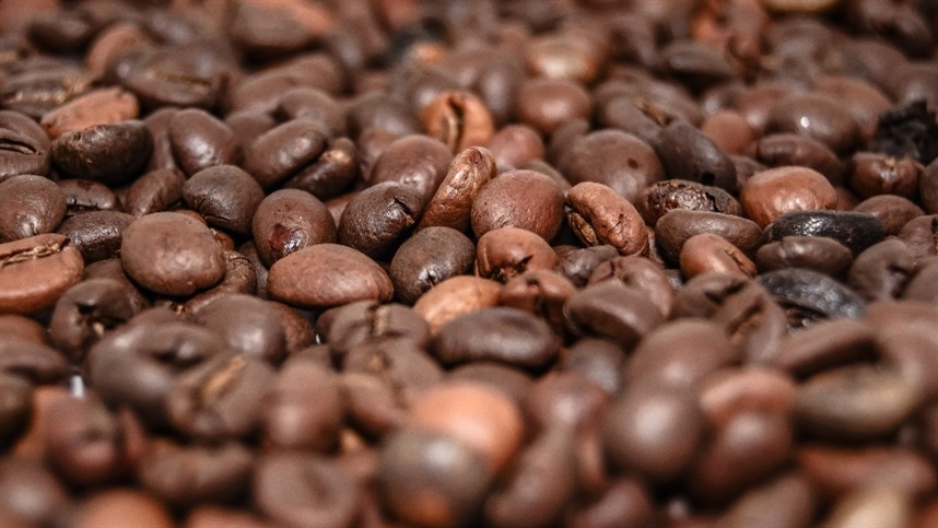 Rondônia pode bater recorde na safra de café