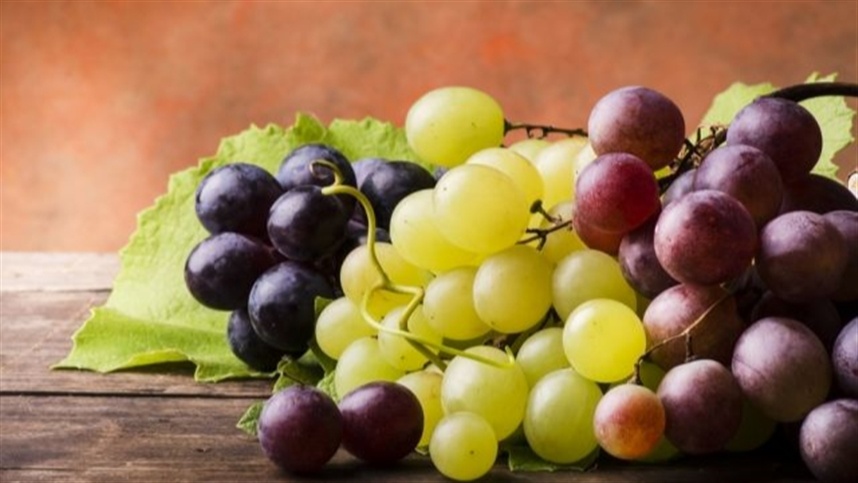 Produtores de uva se preocupam com diminuição na produção