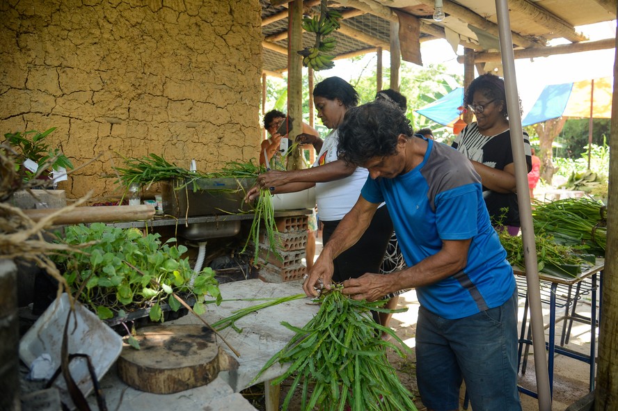 Governo reserva 58,3 mil hectares para comunidades quilombolas