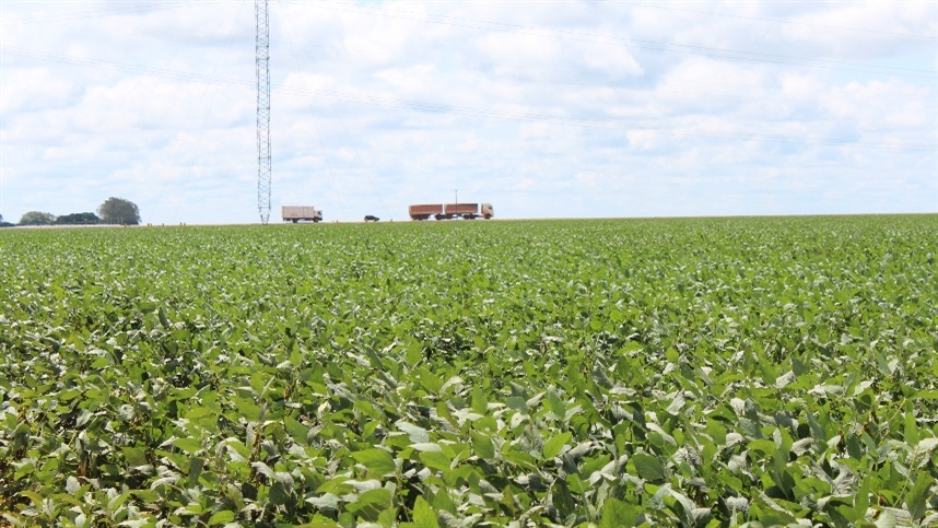 Pavimentação em estrada rural impulsiona desenvolvimento do agronegócio