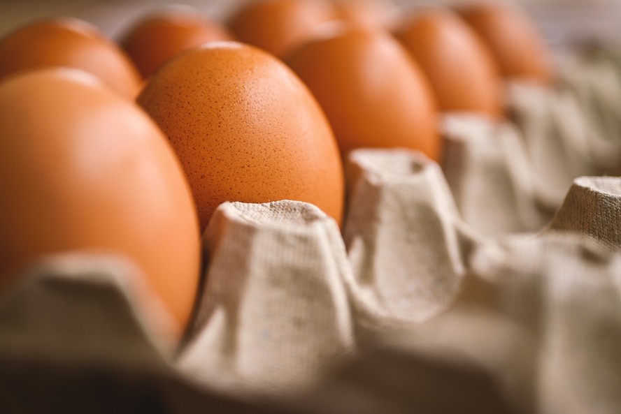 RS sofre prejuízos no escoamento da produção de ovos