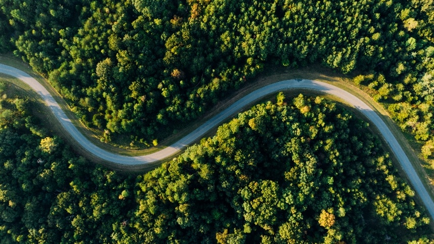 Concessão de florestas públicas para geração de crédito de carbono