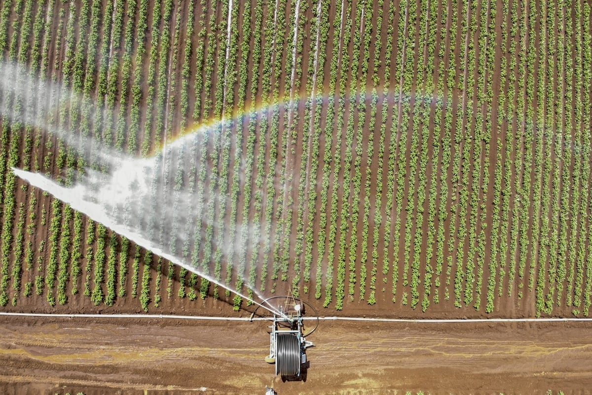 Paraná vai receber R$ 200 milhões para financiar irrigação.