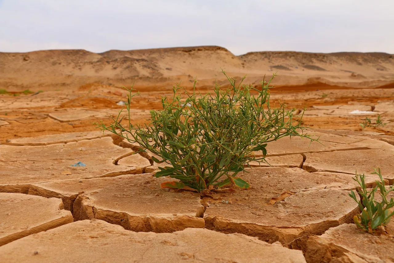 Nova ferramenta para gestão de riscos do clima realiza projeções até o ano 2100