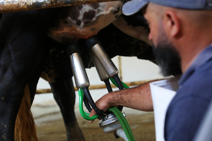Parceria entre laticínios e produtores de leite: juntos por resultados melhores