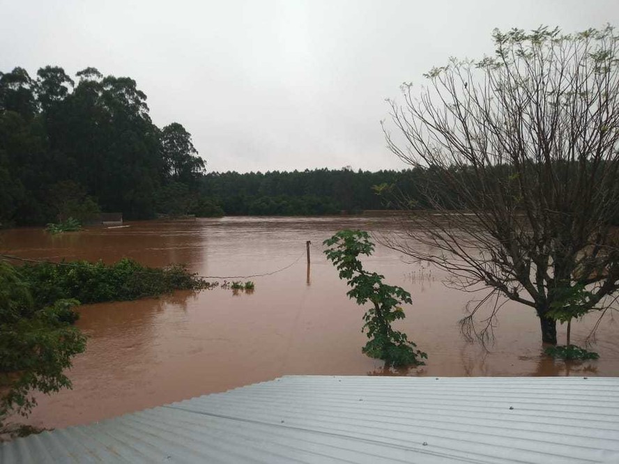 Chuvas no RS causam prejuízos a pequenos produtores: perdas em lavouras, animais e casas