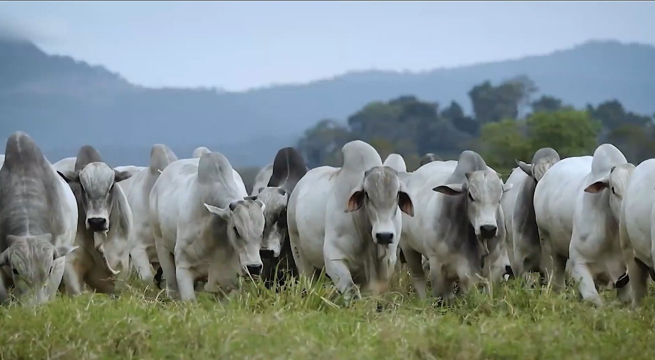 Agricultura