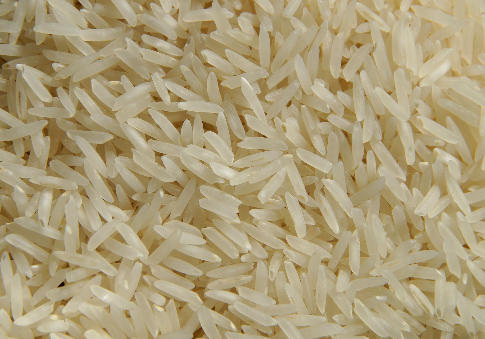 Governo autoriza importação de arroz devido aos prejuízos causados pelas enchentes no RS
