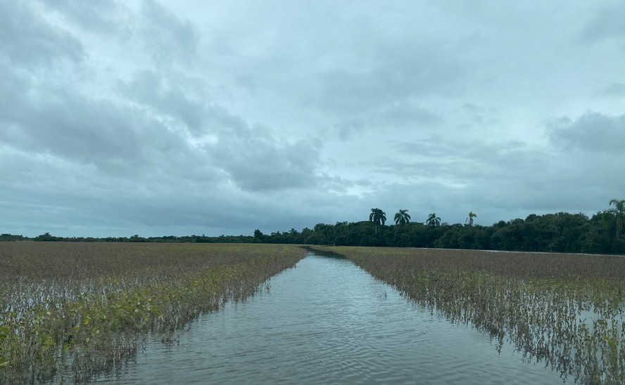 Conab eleva previsão de safra de grãos apesar das perdas no Rio Grande do Sul