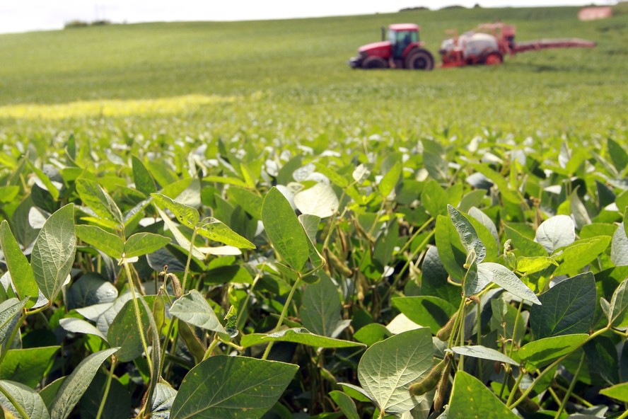 Foram divulgadas as regras do Zoneamento Agrícola para a safra de soja 2024/25.